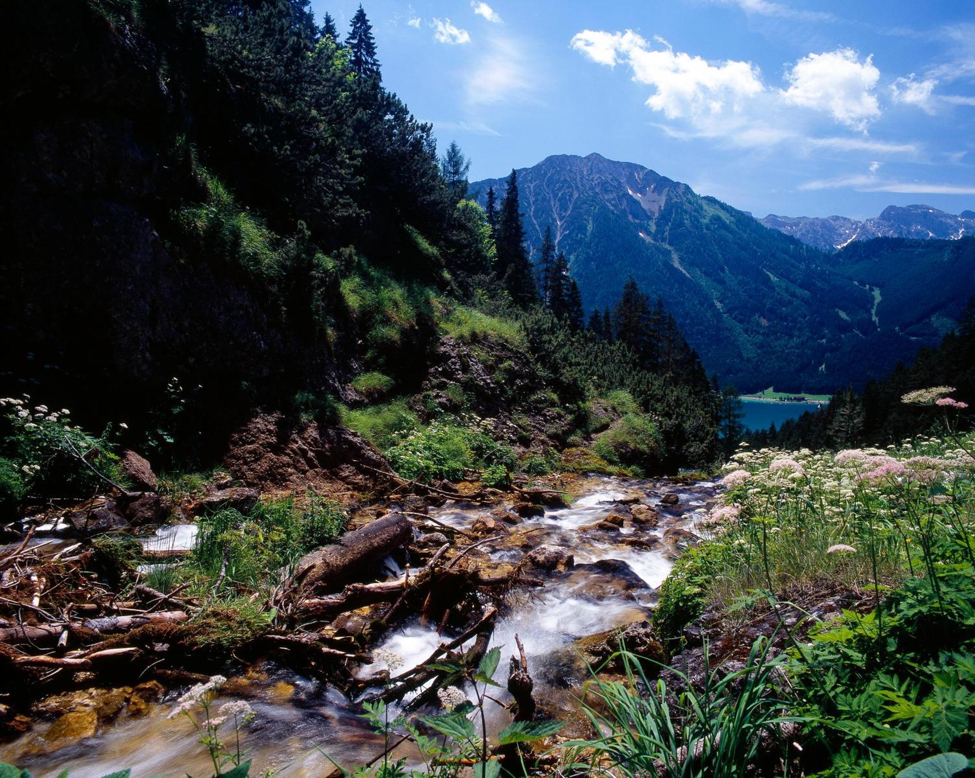 & Tiroler Bua *